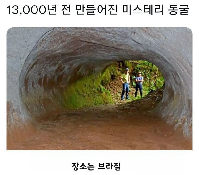 20250608200306_oqtHJTagI5.jpeg?v=7