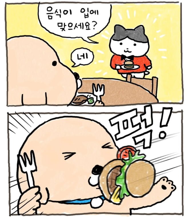 20250609020113_EnXf06w6dr.png?v=7