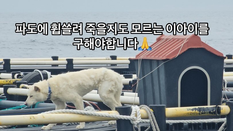 20250609080646_jj8h0onIOk.jpg?v=7