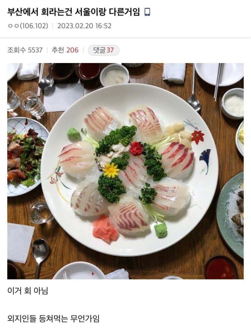 20250609114849_ZsIb5TbSoT.jpg?v=7