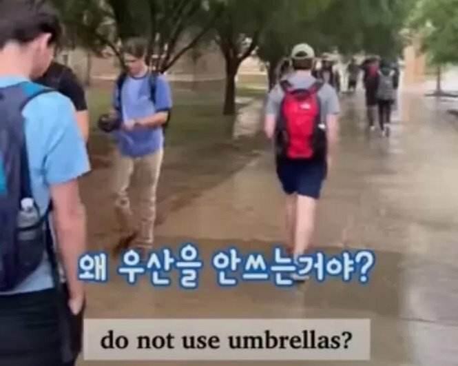 20250609195636_J5XqkhxX09.jpeg?v=7