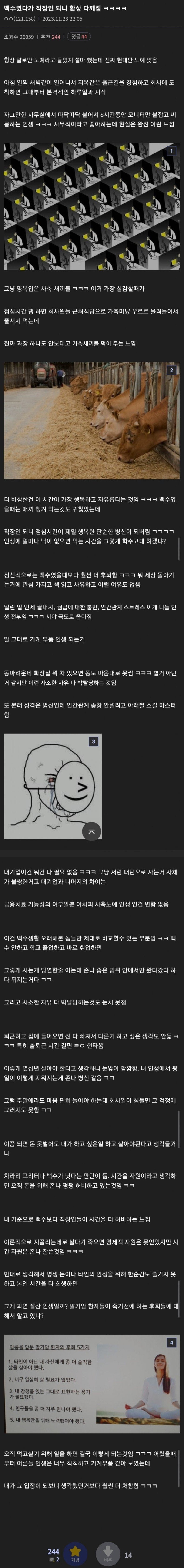 20250610202003_jbAf7zSANS.jpg?v=7