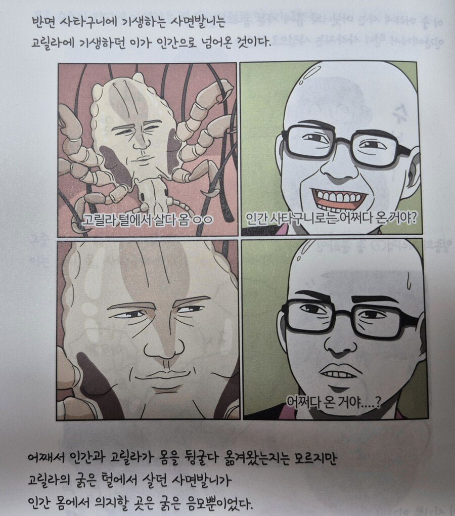 20250611130436_3QvzvUdkgx.jpg?v=7