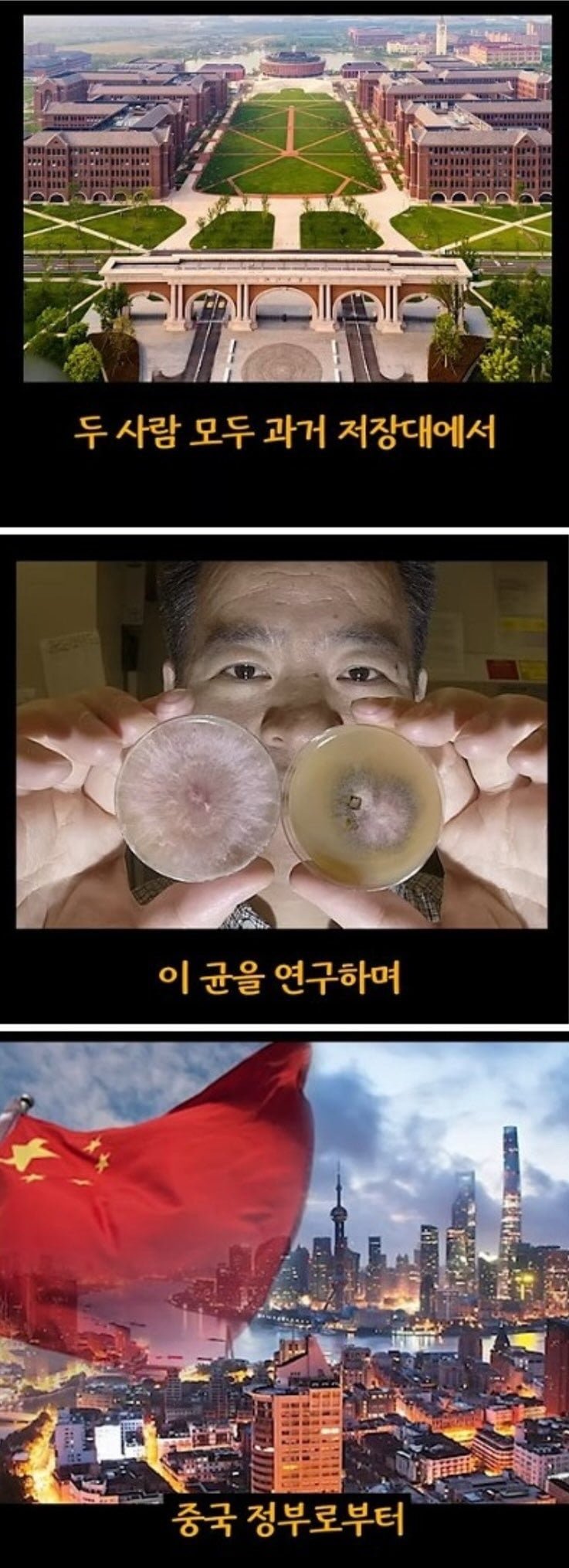 20250611175747_VbYuNz5WLD.jpg?v=7