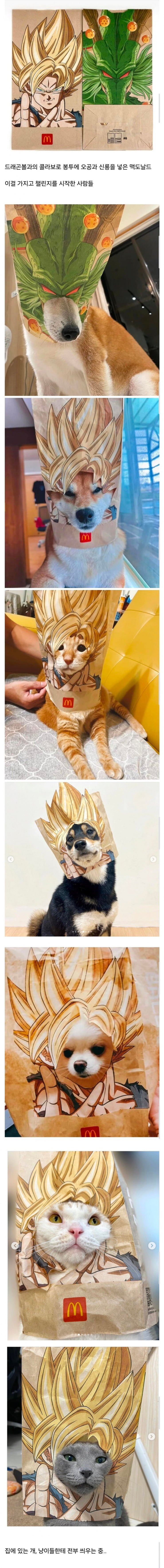 20250611233839_NrsbNxsf0e.jpg?v=7