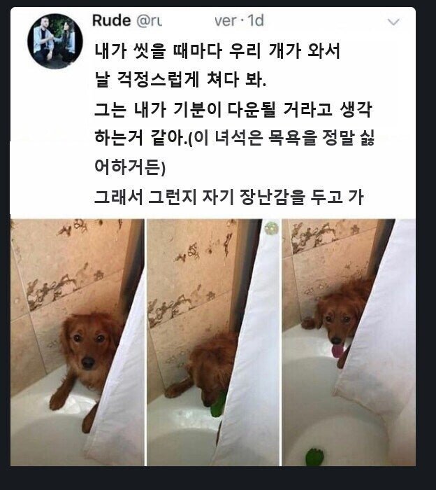 20250612123849_6qu1MeuoJ2.jpg?v=7