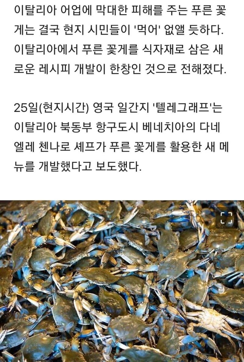 20250612125316_ZoCUAQFjlh.jpg?v=7