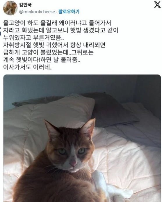 20250615051205_YcswZNSqCf.png?v=7