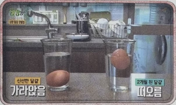 20250615172712_duoUd9SYXO.jpeg?v=7