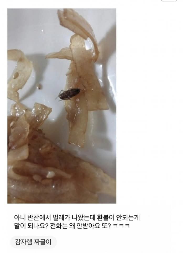 20250616165820_RMl7FBxP4s.jpeg?v=7