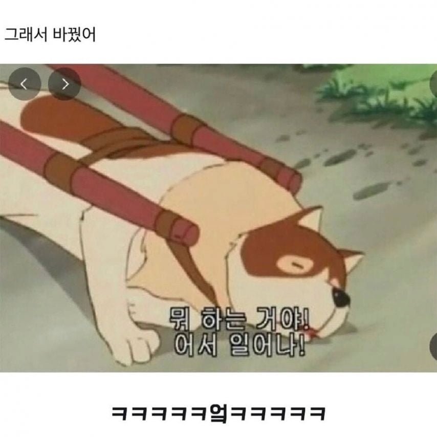 20250617120342_iDGtKGhn1a.png?v=7