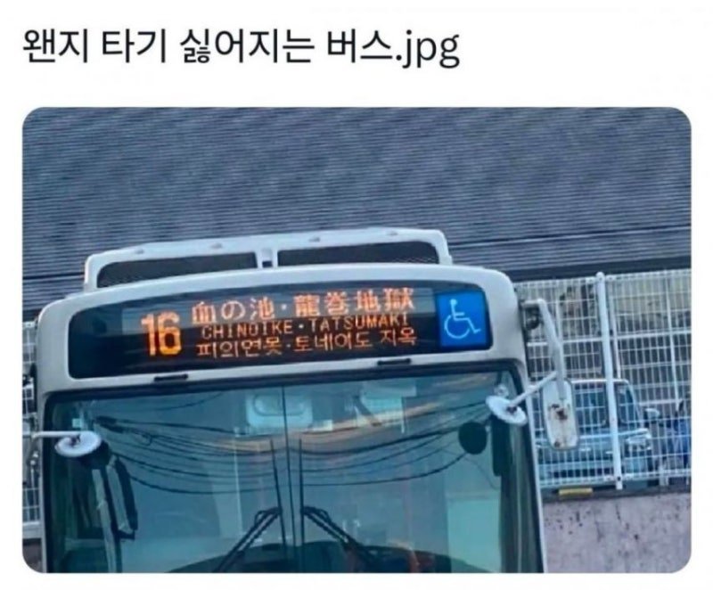 20250617123001_E1iv4JTHiC.jpg?v=7
