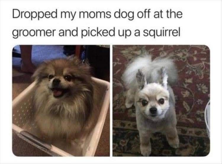 20250618115610_AkL9mkjK1u.jpg?v=7