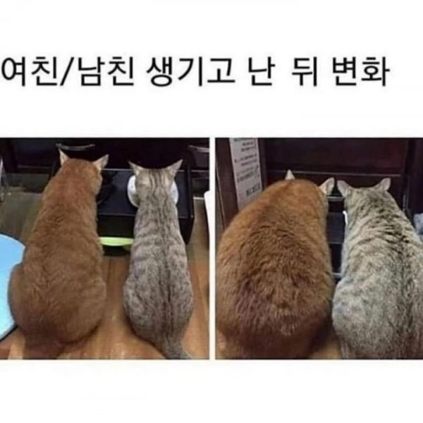 20250618171654_fHciRUxQzV.jpeg?v=7