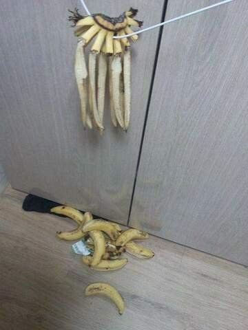 20250619151912_tlTqfMLDzw.jpg?v=7