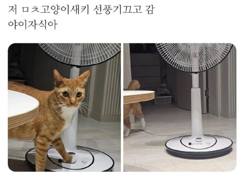 20250621185647_gMgpYnnywP.png?v=7