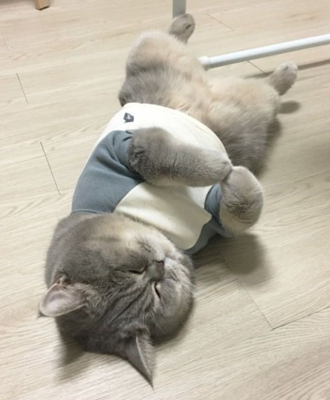 20250623140129_qXIBiIy6bQ.png?v=7