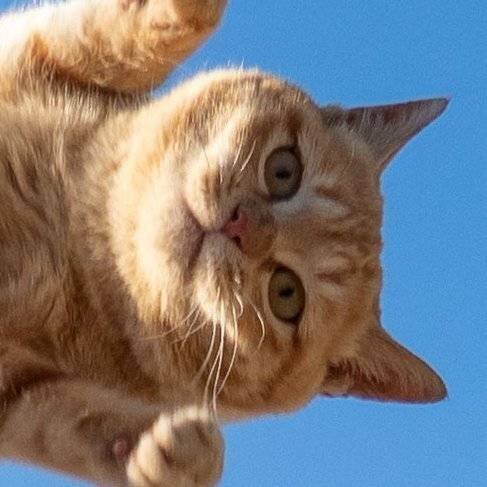 20250623211851_G9TJrcebhZ.jpeg?v=7