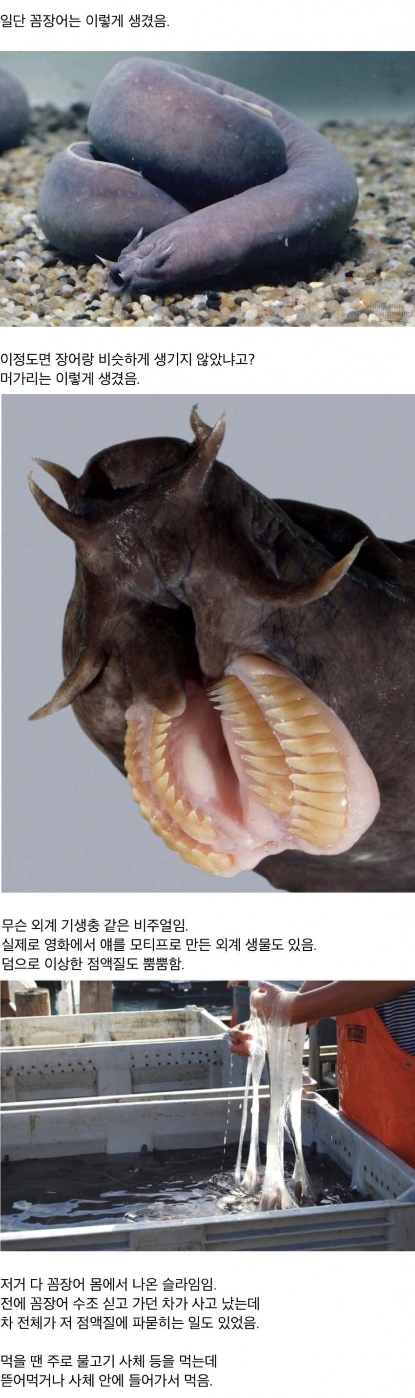20250624155633_bhB9BMmVAX.png?v=7