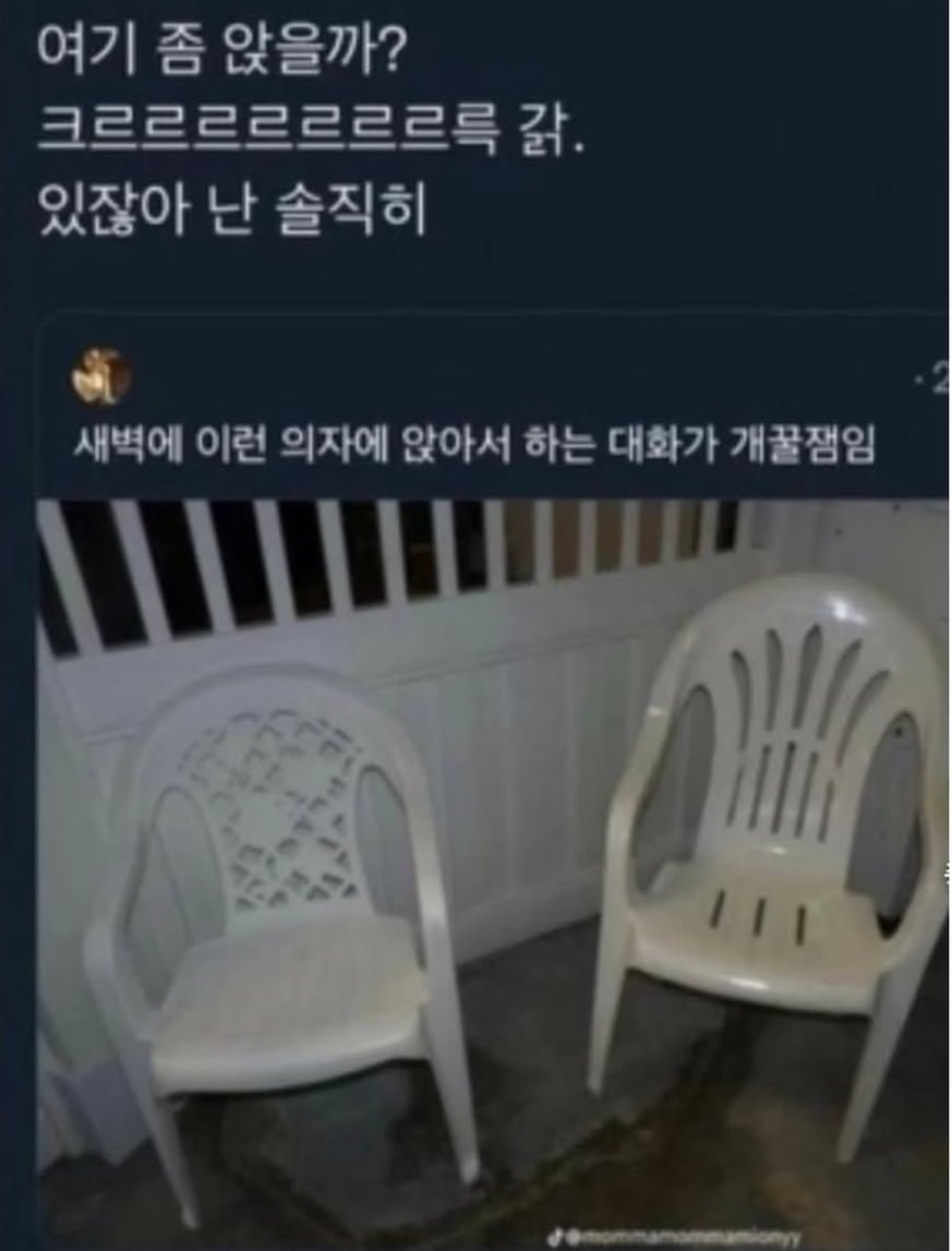 20250624162906_ksszS9IKpT.jpeg?v=7