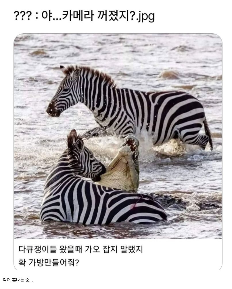 20250624211012_5JVsG6B3Uz.png?v=7