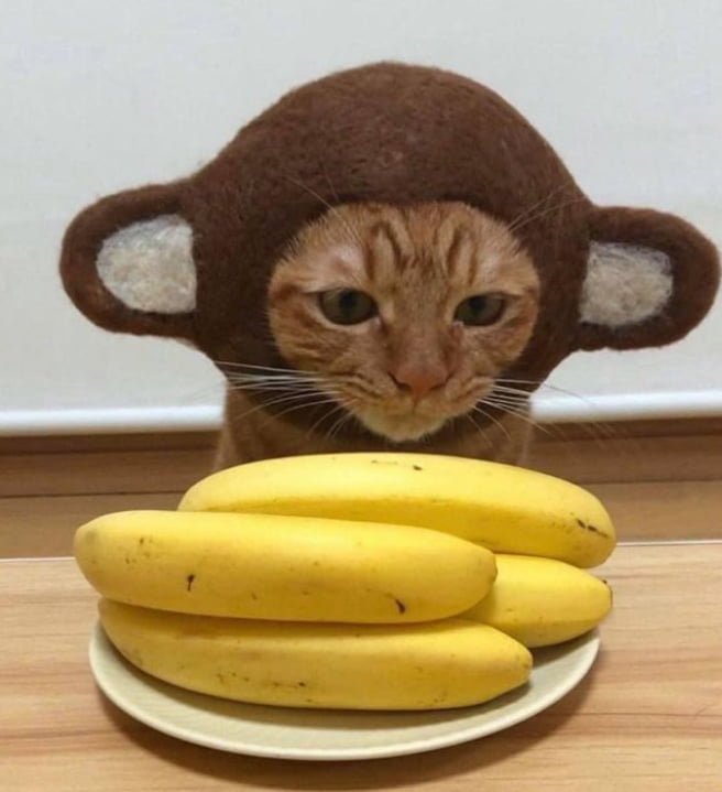 20250625113832_Noeb5caG6Q.png?v=7