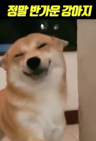 20250625120626_TffSxa29Ix.png?v=7