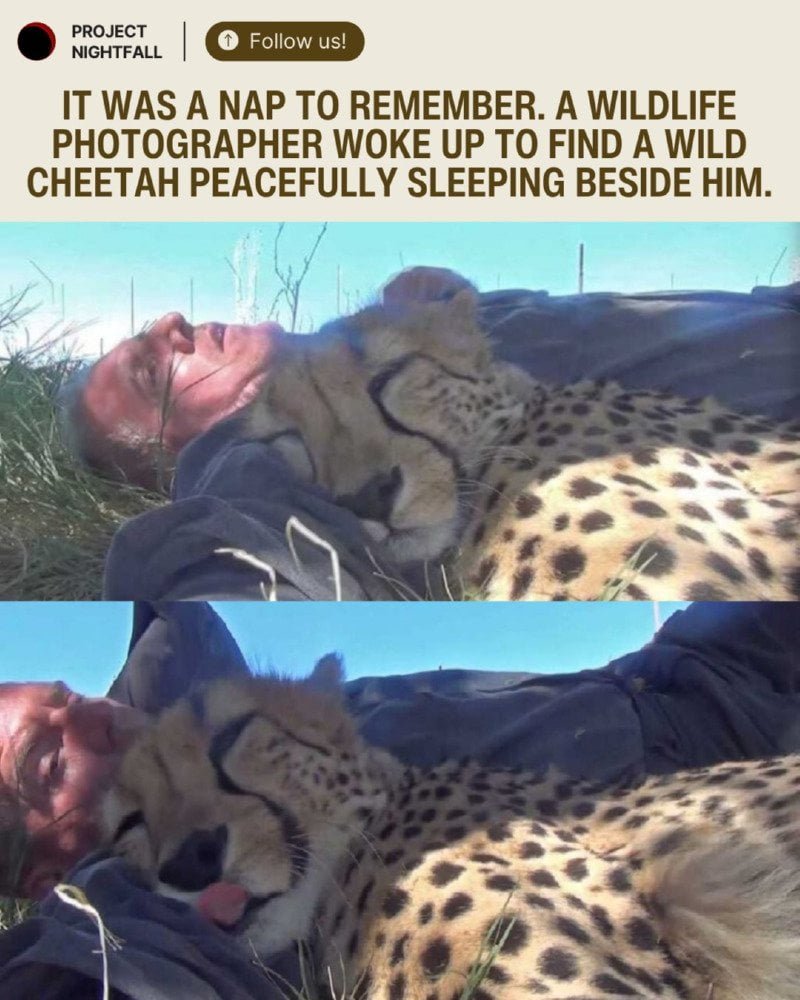 20250625214609_dxusu11imb.jpg?v=7