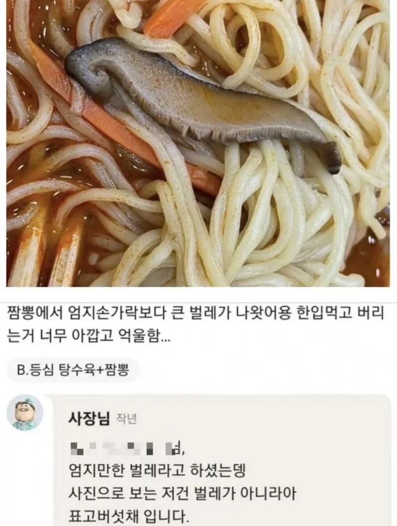 20250626112047_yTvA1SmmIZ.jpg?v=7