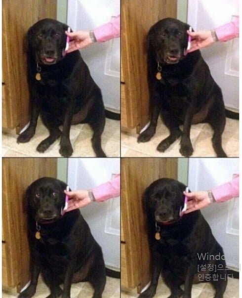 20250627144807_IUDtkrkC6S.png?v=7