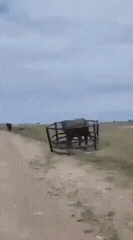 20250628225828_W88lum6ZNL.gif?v=7