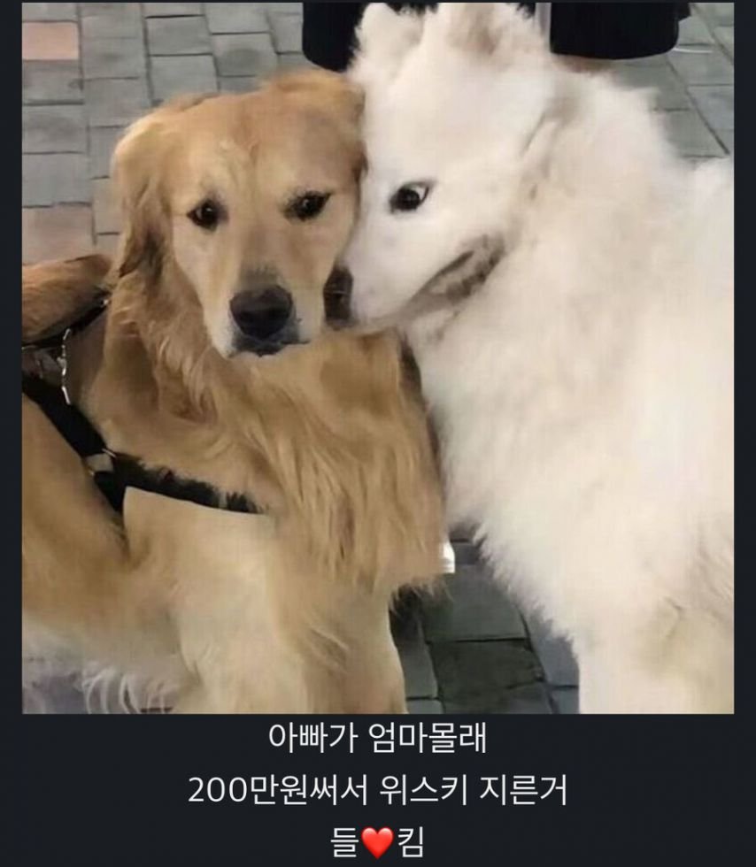 20250629215039_XdMF4iKLzH.jpg?v=7