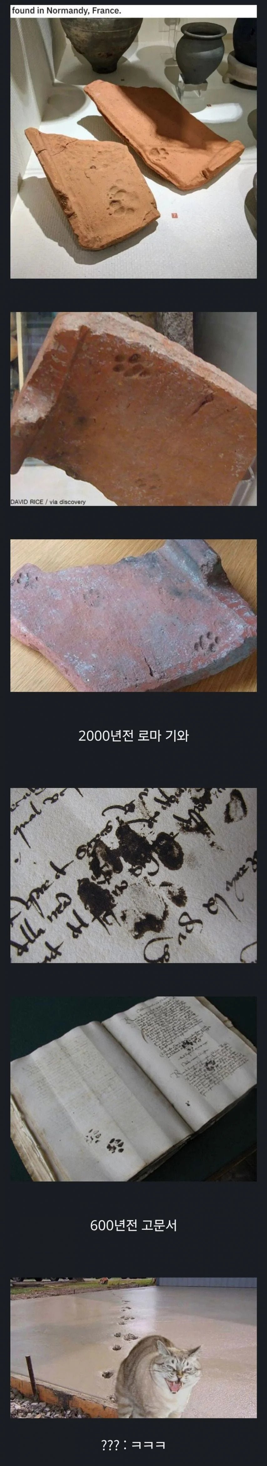 20250630133519_PnSUyQsPvP.jpeg?v=7