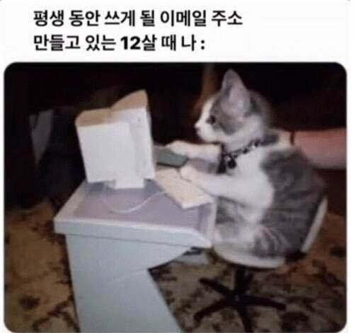 20250630164908_IjCZEnwslr.png?v=7