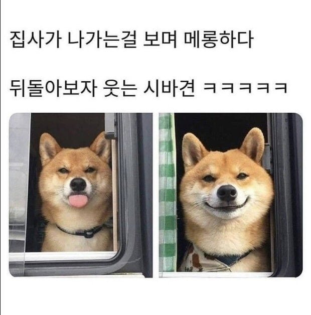 20250630213617_BBIgSA28gt.png?v=7