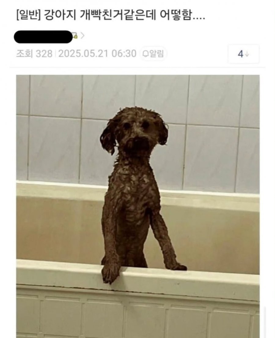 900w_20250602115026_lFiqAQ9Guf.jpg?v=7