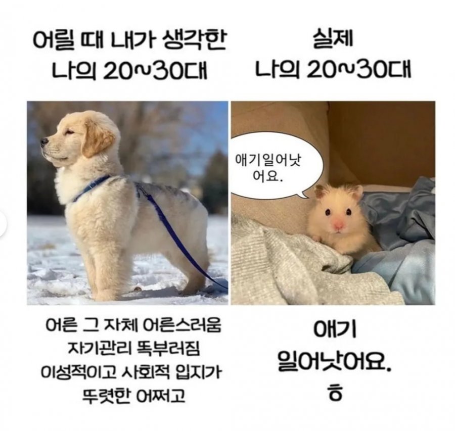 900w_20250604162139_9GbcujmgXL.png?v=7