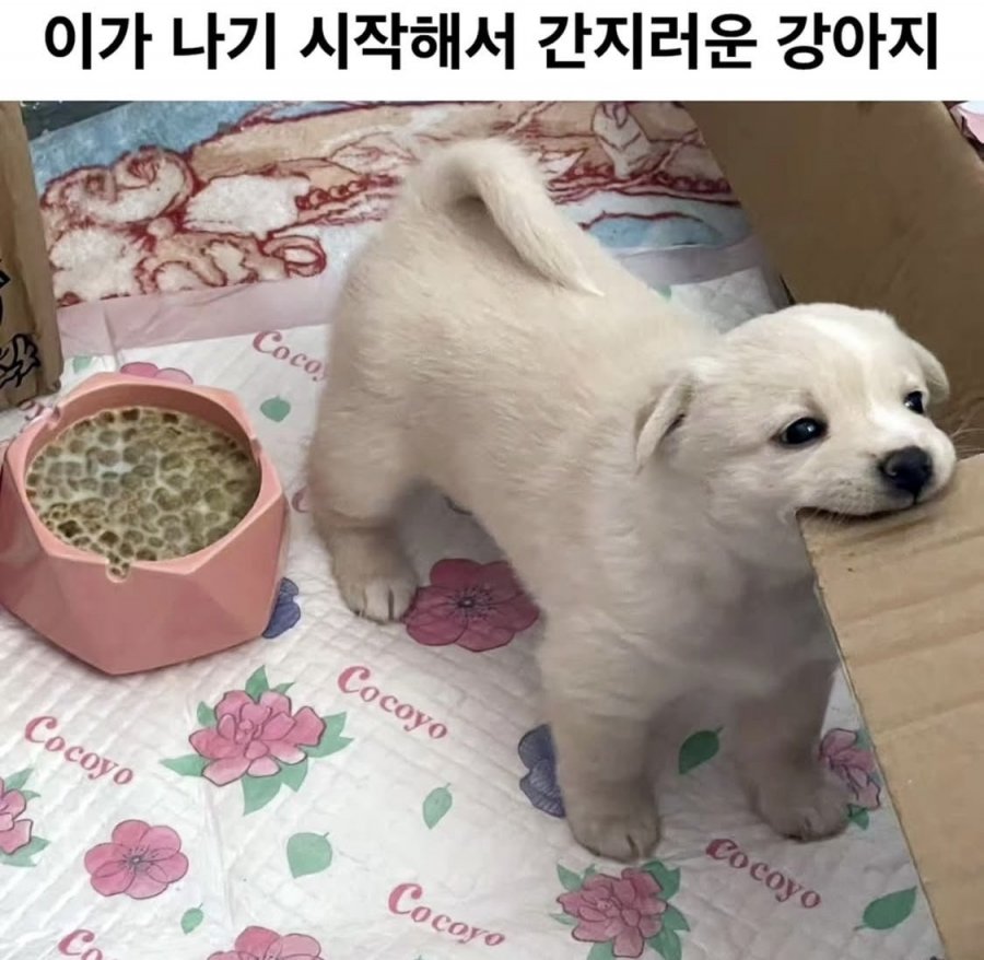 900w_20250605192047_v5A5FJ2ljh.jpeg?v=7