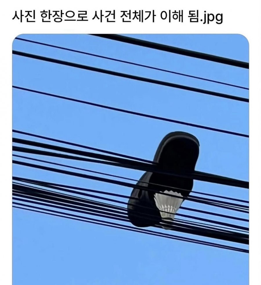 900w_20250607094709_ypR3RVwvV4.jpg?v=7