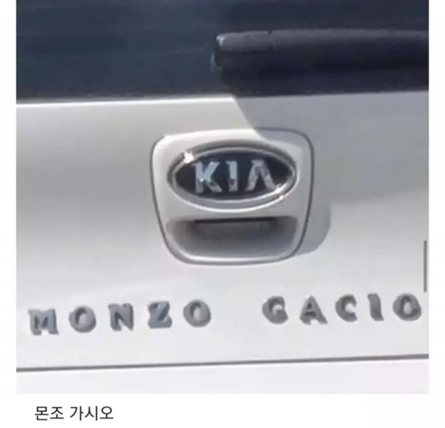 900w_20250609114802_5G7HCXQwCa.jpg?v=7