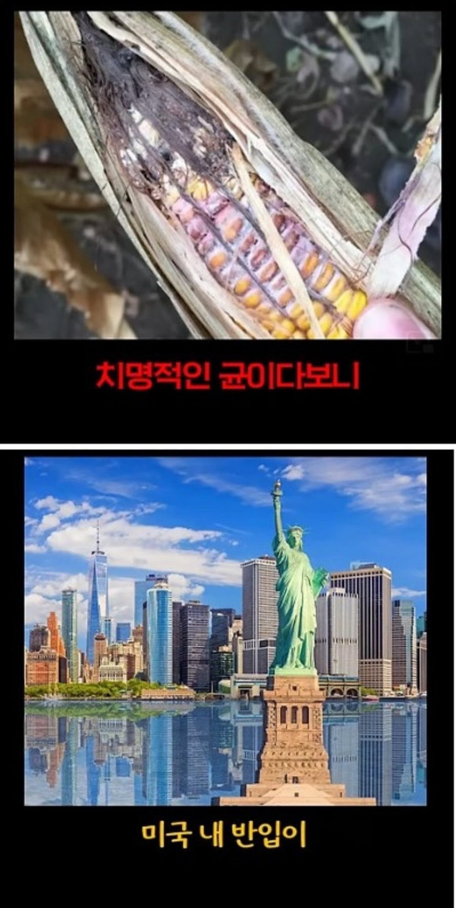900w_20250611175729_7ewrE0ipkH.jpg?v=7