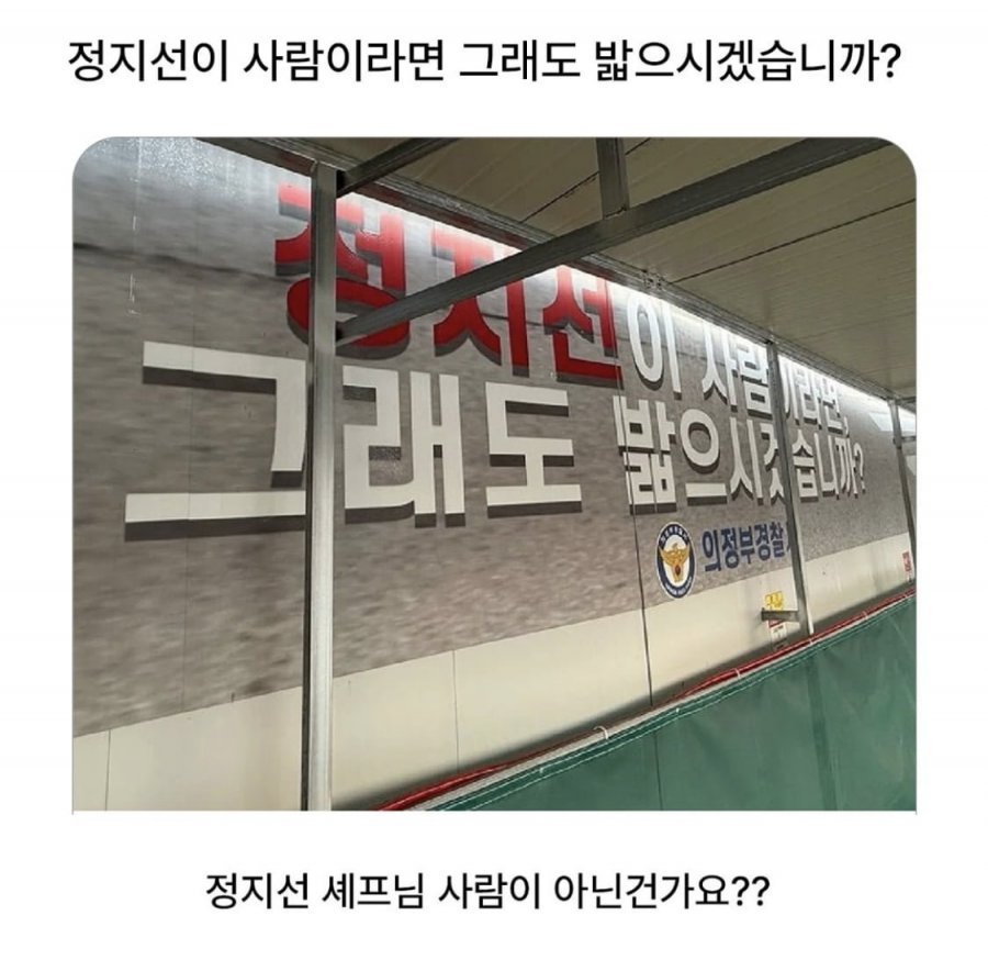 900w_20250612110638_gCjtugwoYf.jpg?v=7