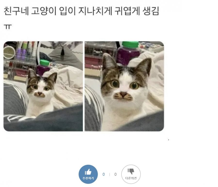 900w_20250612115451_RrE3KD7EgJ.png?v=7