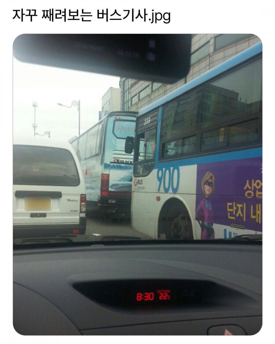 900w_20250614090514_WOb0jbY6MQ.jpg?v=7