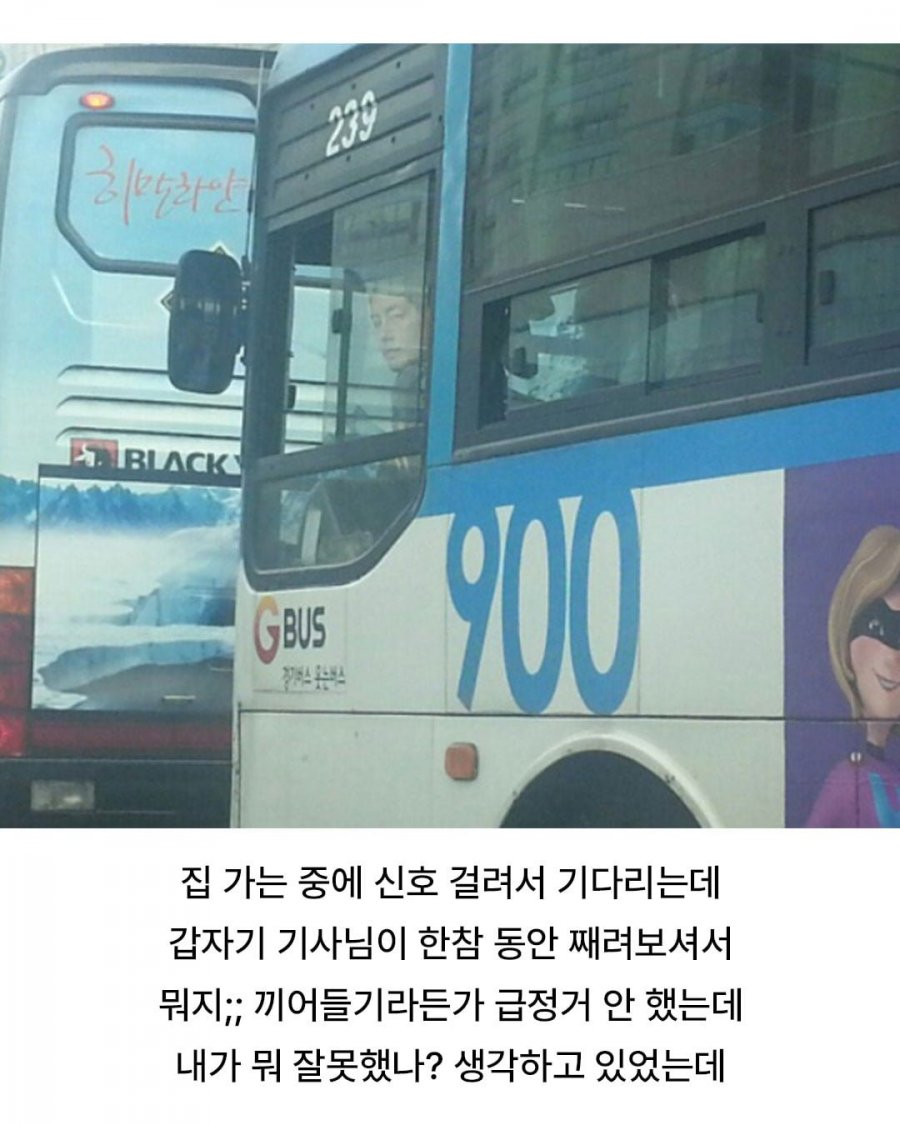 900w_20250614090528_6Ldci7RIlT.jpg?v=7
