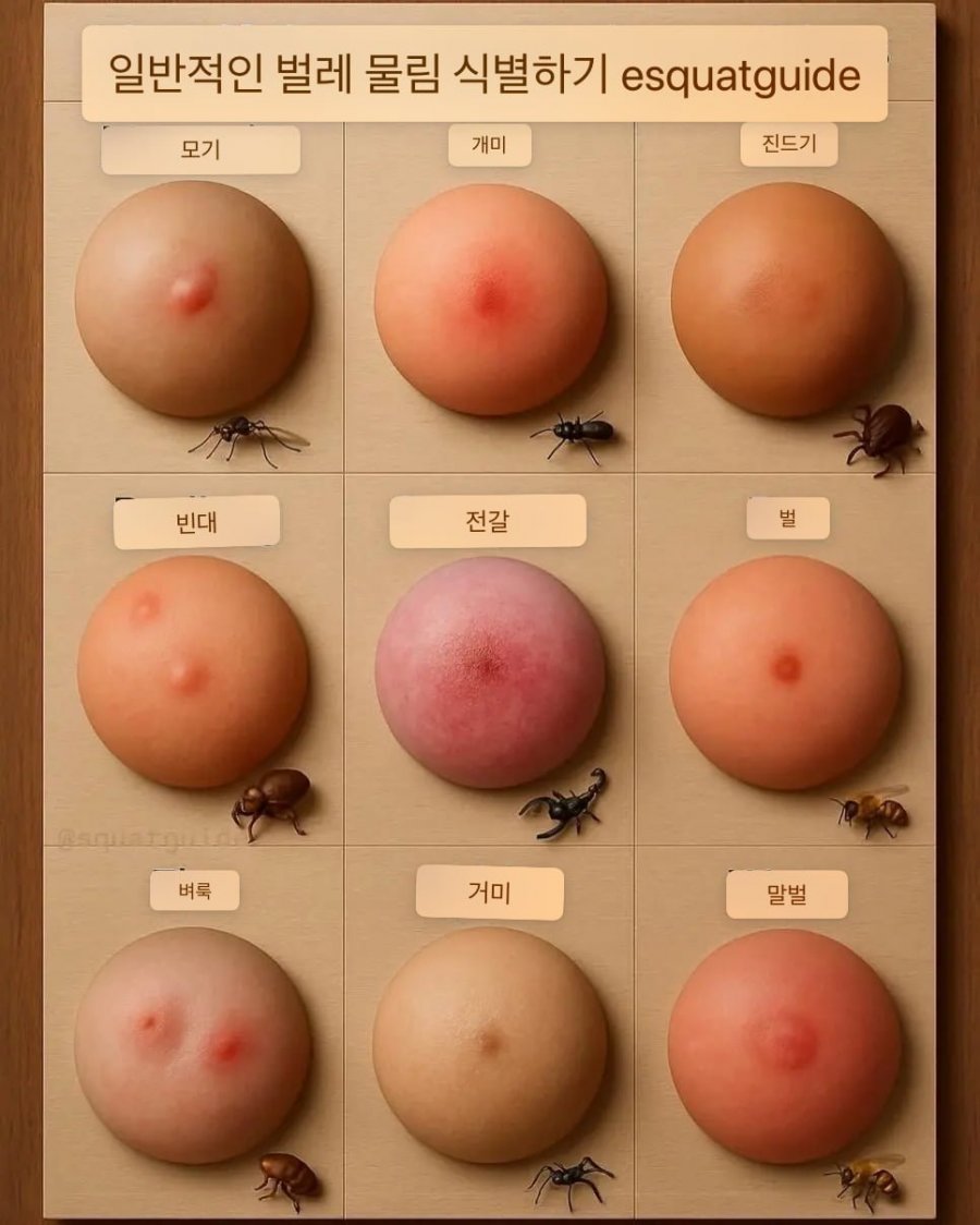 900w_20250615055855_ViGRTZ27Oq.png?v=7