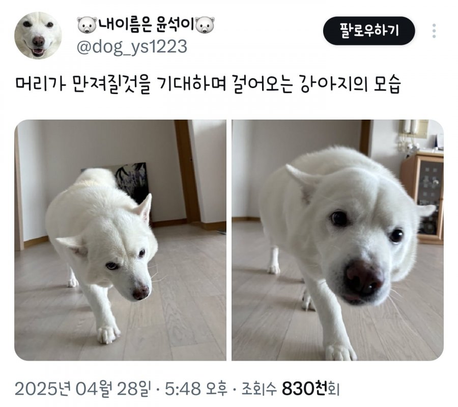 900w_20250616114234_mINIdKJ9EV.png?v=7