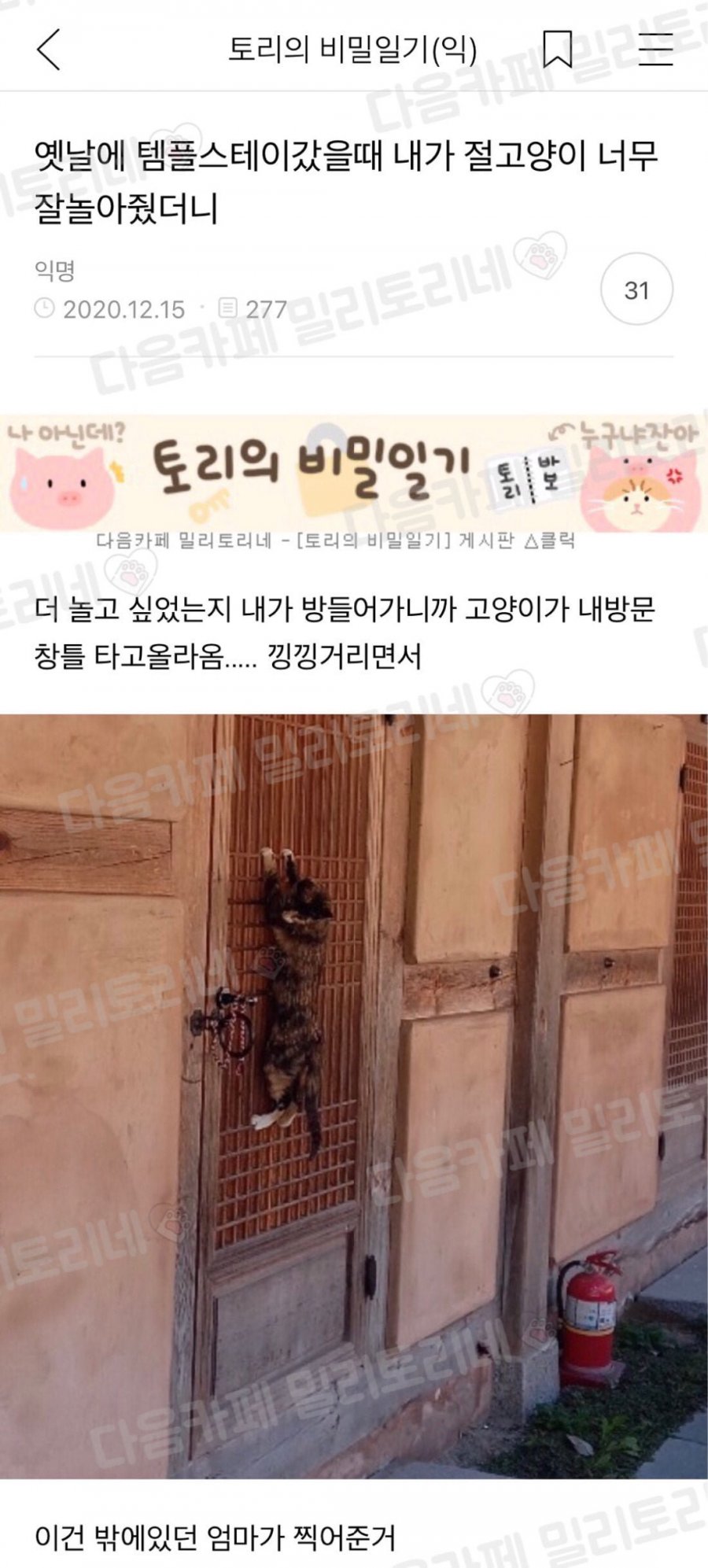 900w_20250617135719_Du7dKVb31m.jpg?v=7