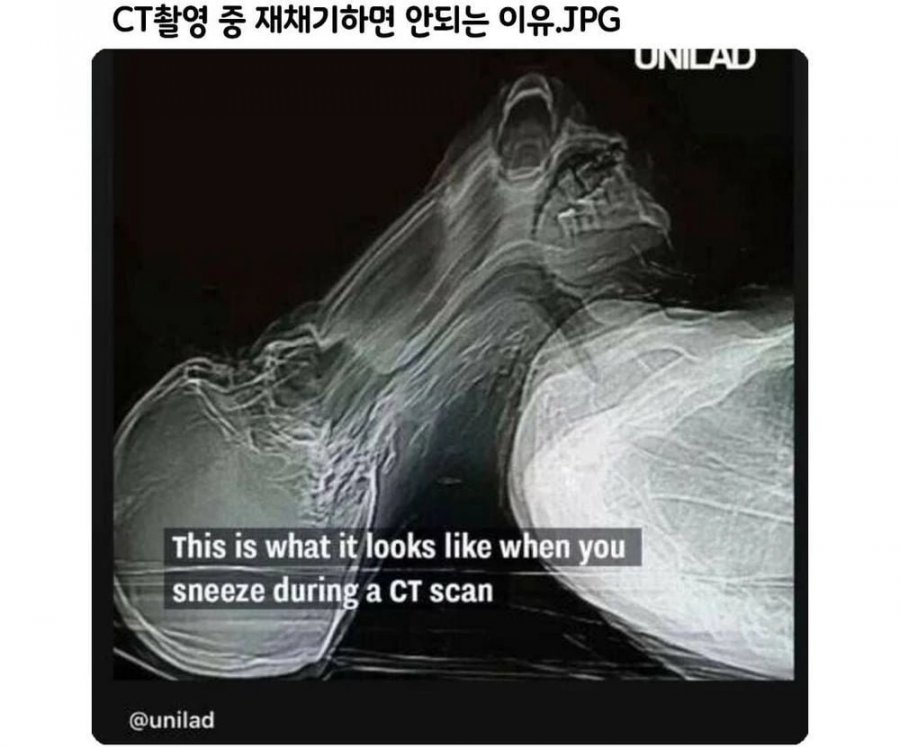 900w_20250618104155_s3ohIzrgAn.png?v=7