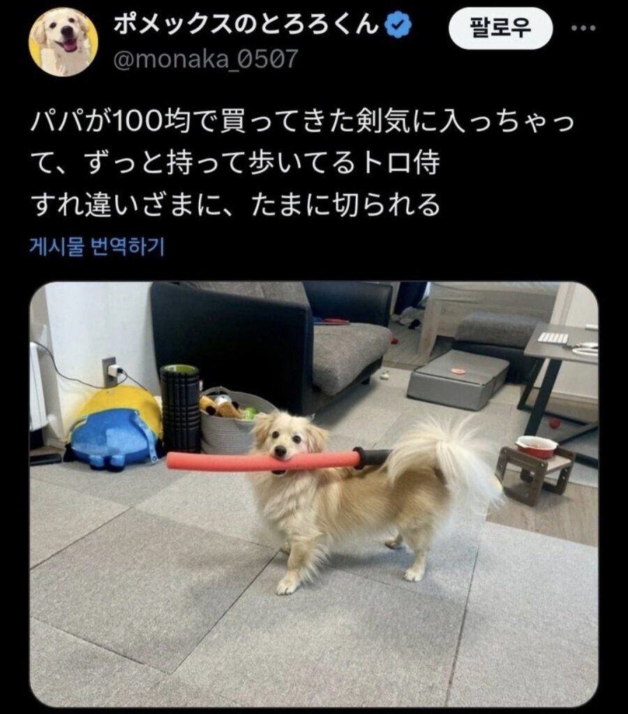 900w_20250618123706_ol4ySvM927.jpeg?v=7